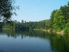 Нормальное зрение